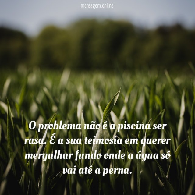 O problema não é a piscina ser rasa