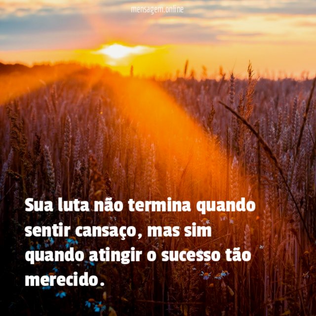 Sua luta não termina quando sentir cansaço