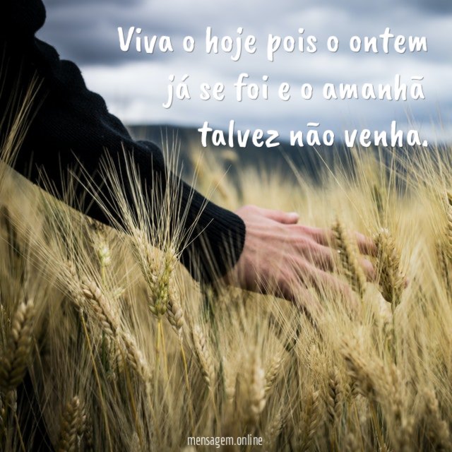 Viva o hoje