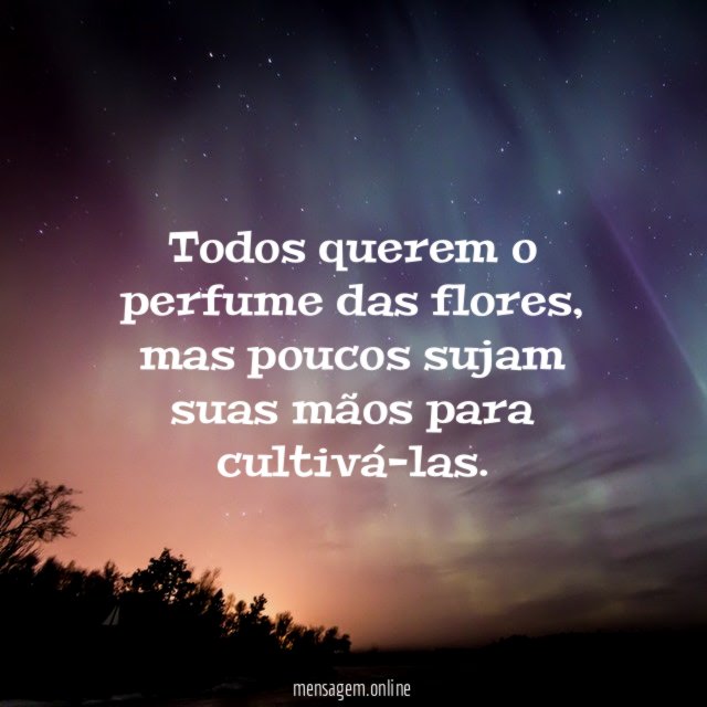Todos querem o perfume das flores
