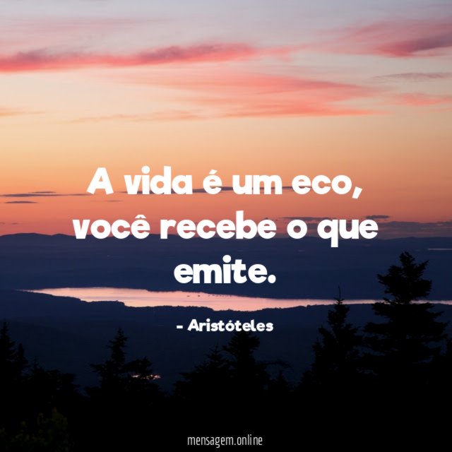 A vida é um eco, você recebe o que emite