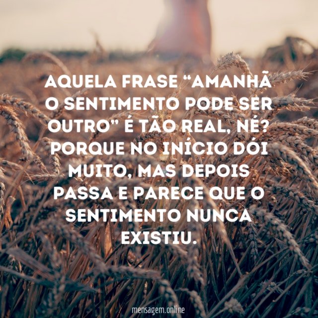 Aquela frase: amanhã o sentimento pode ser outro