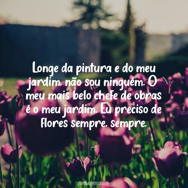 Eu preciso de flores sempre, sempre.