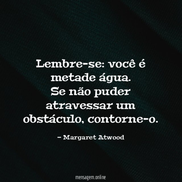 Lembre-se: você é metade água. Se não puder atravessar um obstáculo, contorne-o.