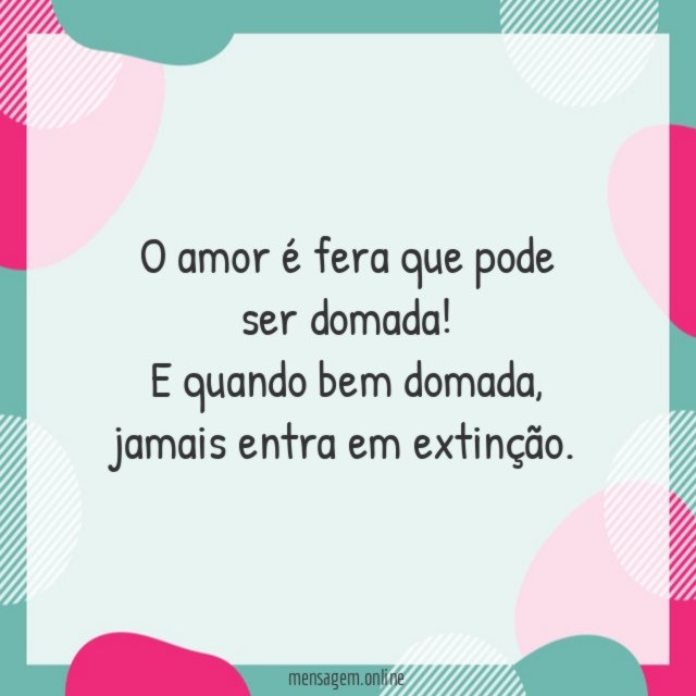 O amor é fera