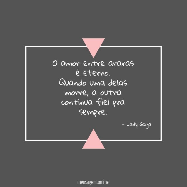 O amor entre araras é eterno