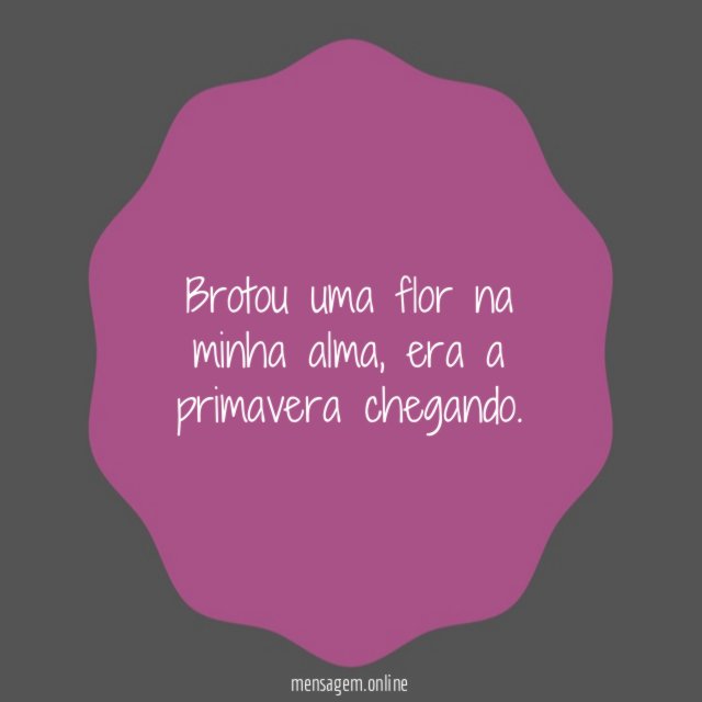 Brotou uma flor na minha alma