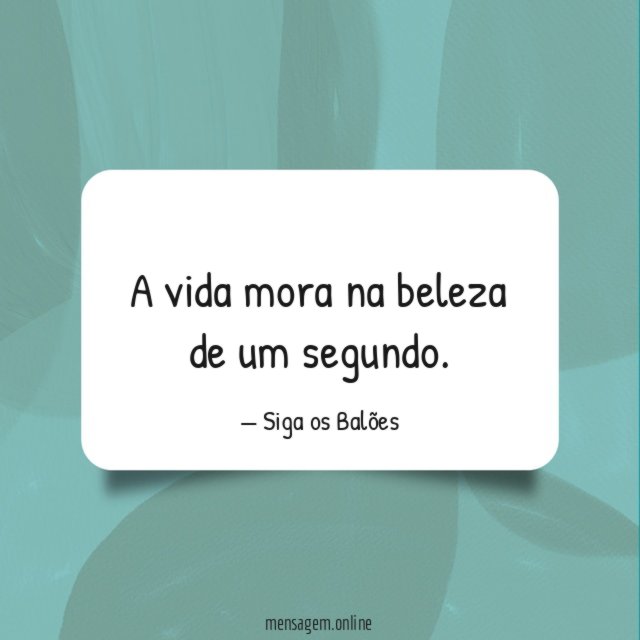 A vida mora na beleza