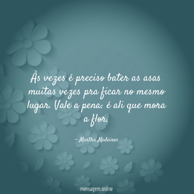 Às vezes é preciso bater as asas