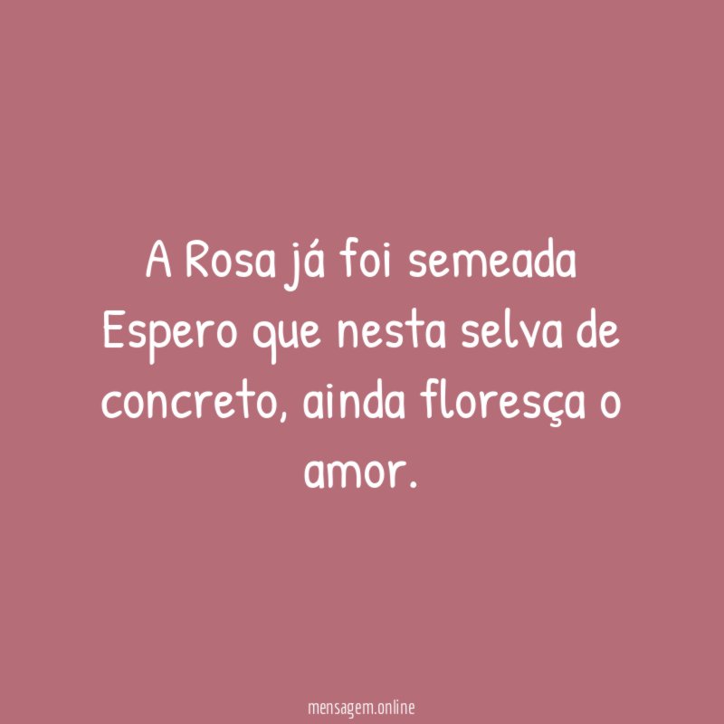 A Rosa já foi semeada Espero que nesta selva de concreto