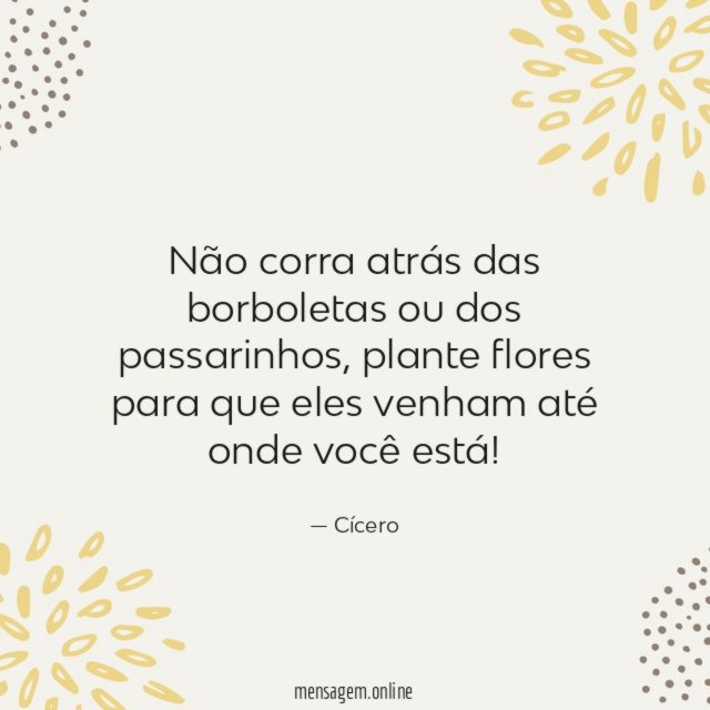 Não corra atrás das borboletas