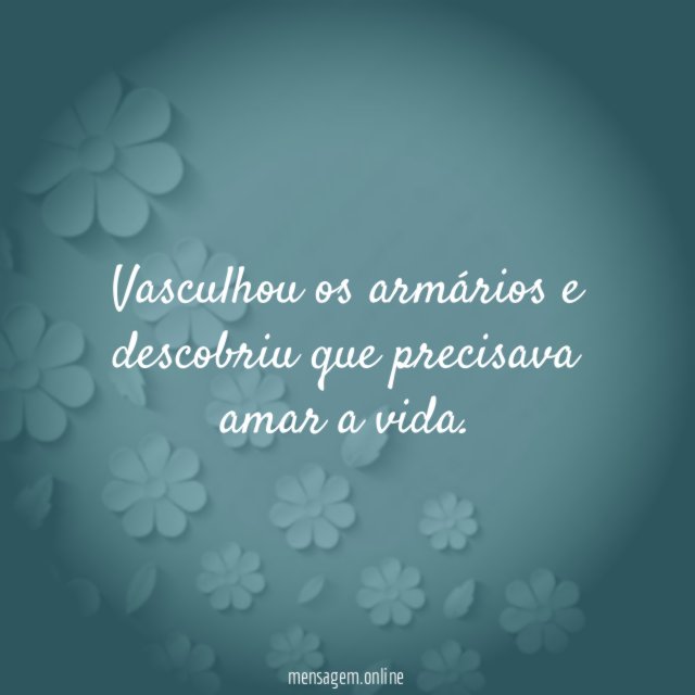 Vasculhou os armários