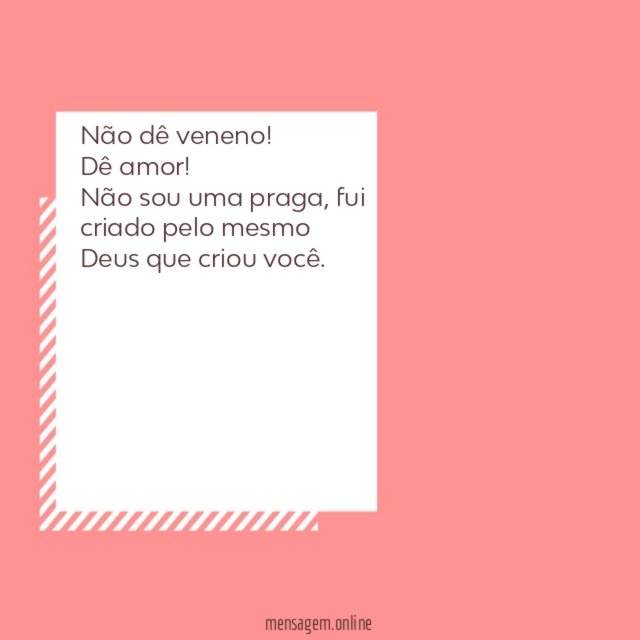 Não dê veneno