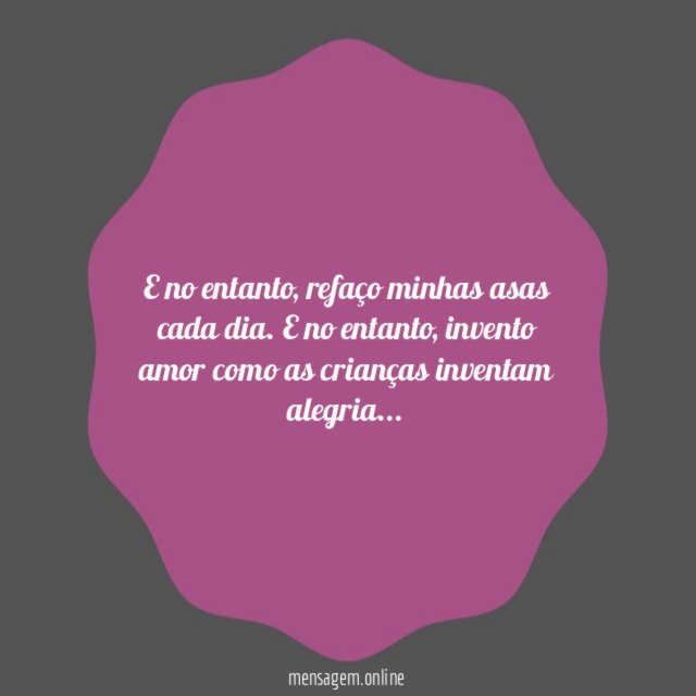 Refaço minhas asas