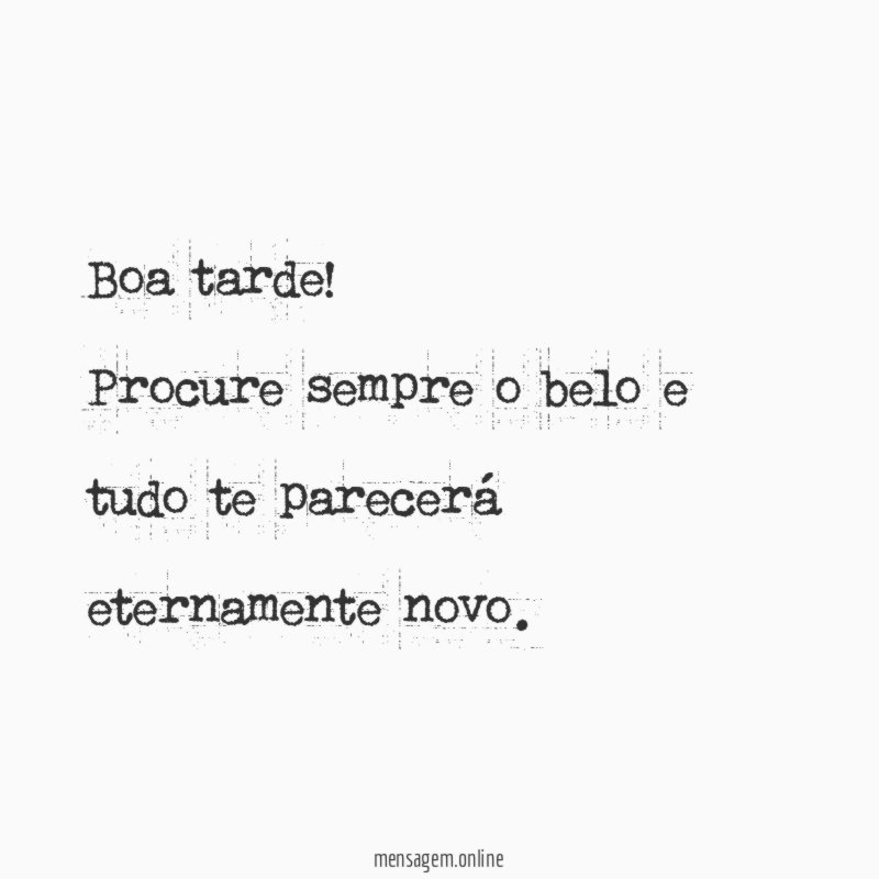 Procure sempre o belo