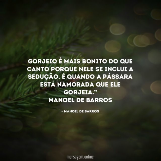 Gorjeio é mais bonito do que canto porque