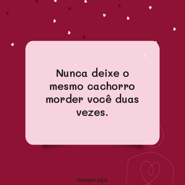 Nunca deixe o mesmo cachorro