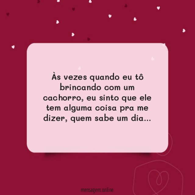 Brincando com um cachorro