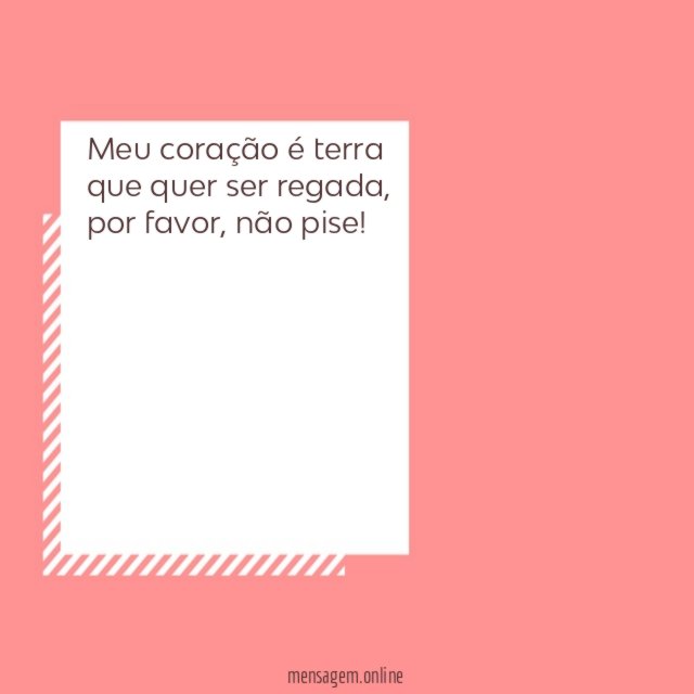 Meu coração é terra
