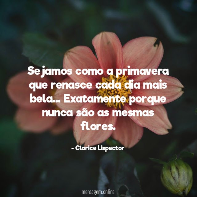 Sejamos como a primavera que renasce cada dia mais bela