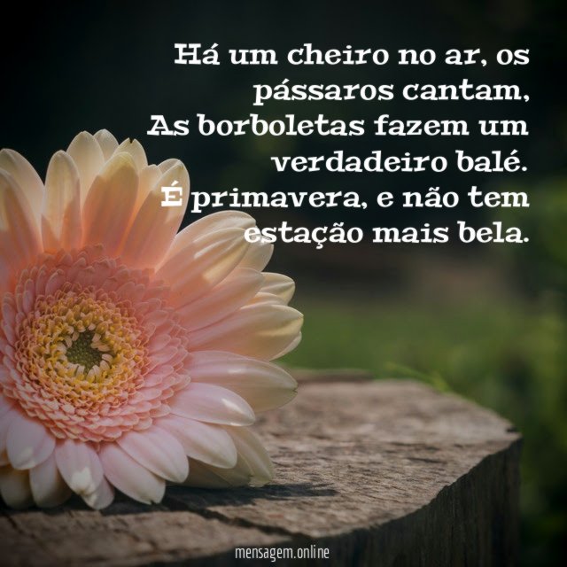 Há um cheiro no ar