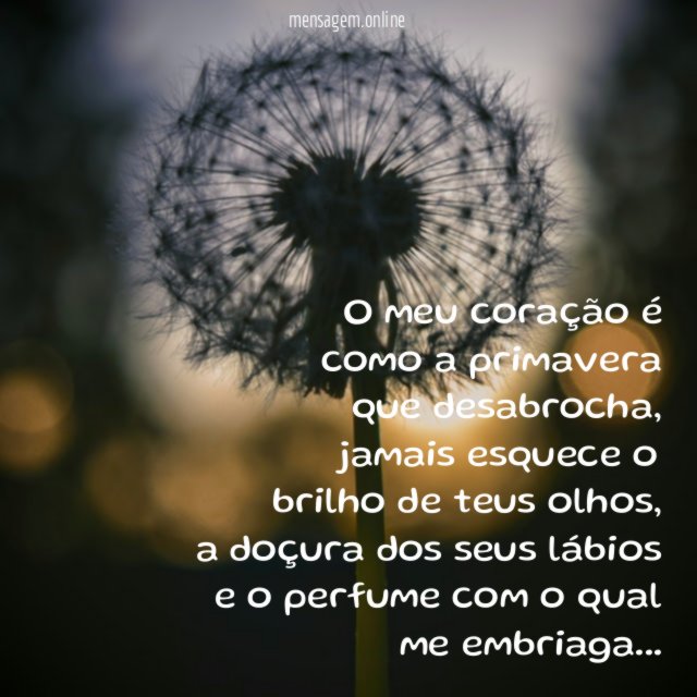 O meu coração é como a primavera que desabrocha