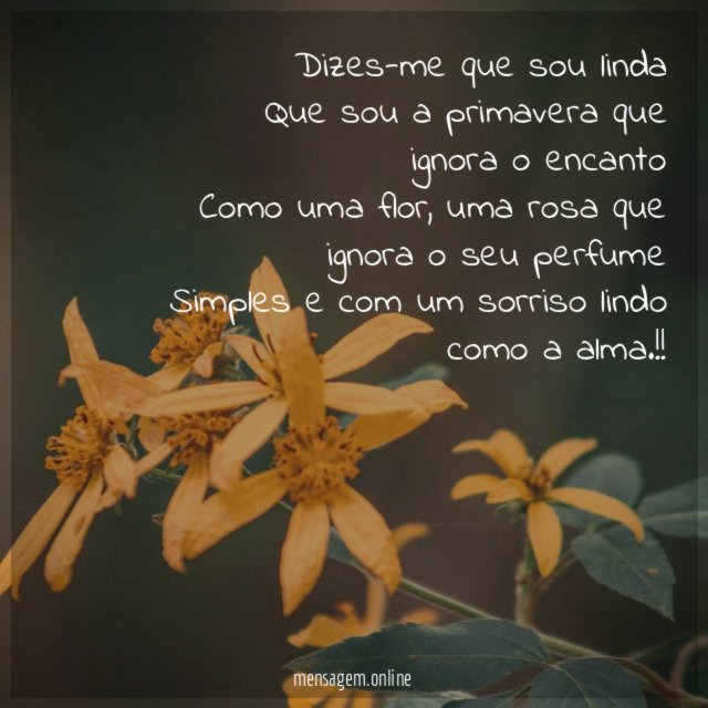 Dizes-me que sou linda Que sou a primavera que