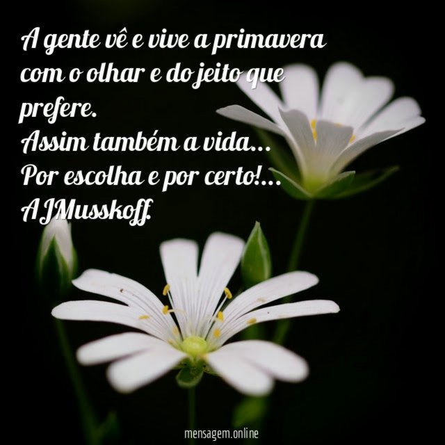 A gente vê e vive a primavera com