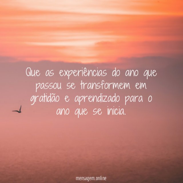 Gratidão e Aprendizado