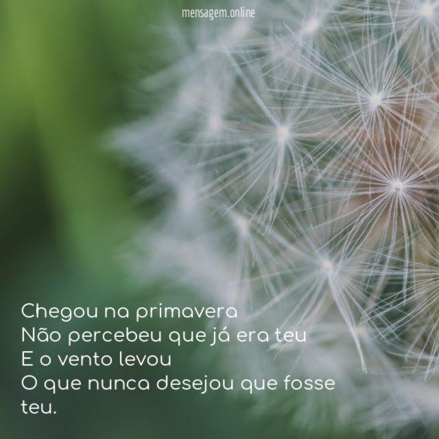 Chegou na primavera Não percebeu que já era teu E