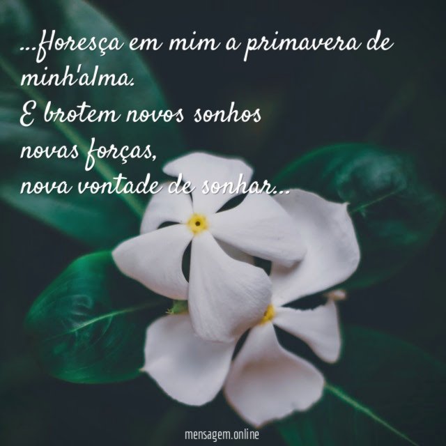 floresça em mim a primavera de minh'alma