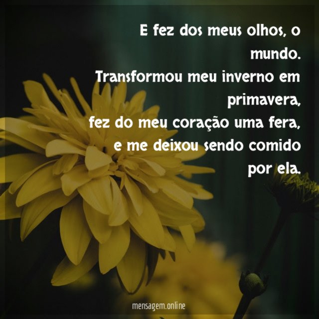 E fez dos meus olhos