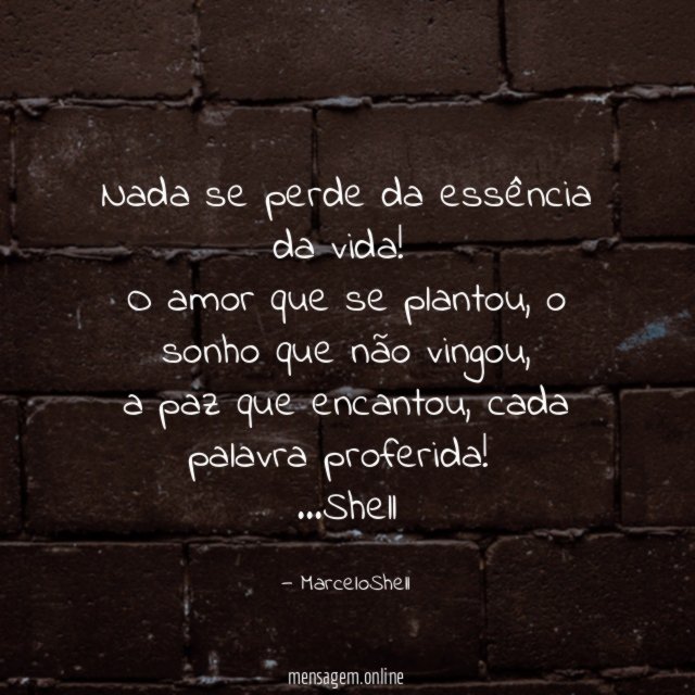 Nada se perde da essência da vida
