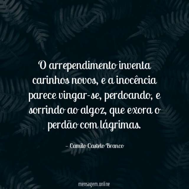 O arrependimento inventa carinhos novos