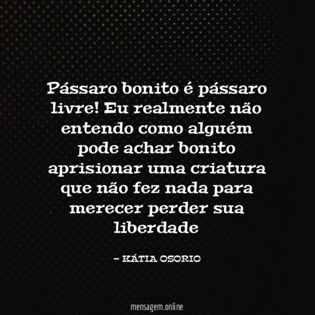 Pássaro bonito é pássaro livre