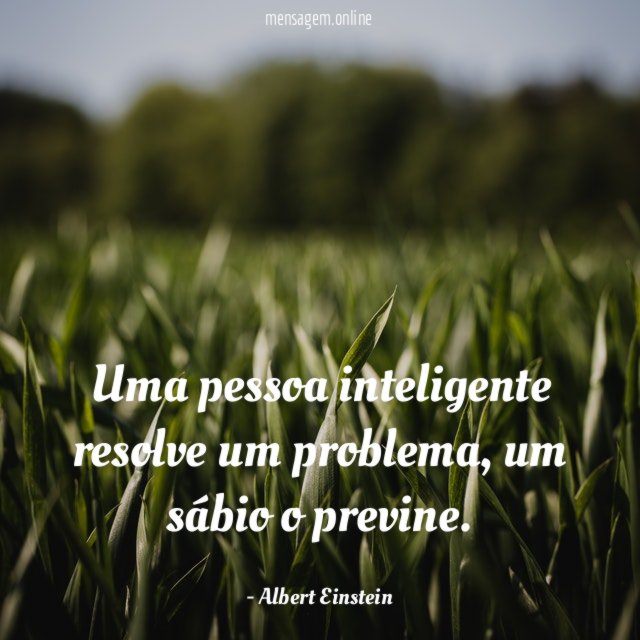 Uma pessoa inteligente resolve um problema