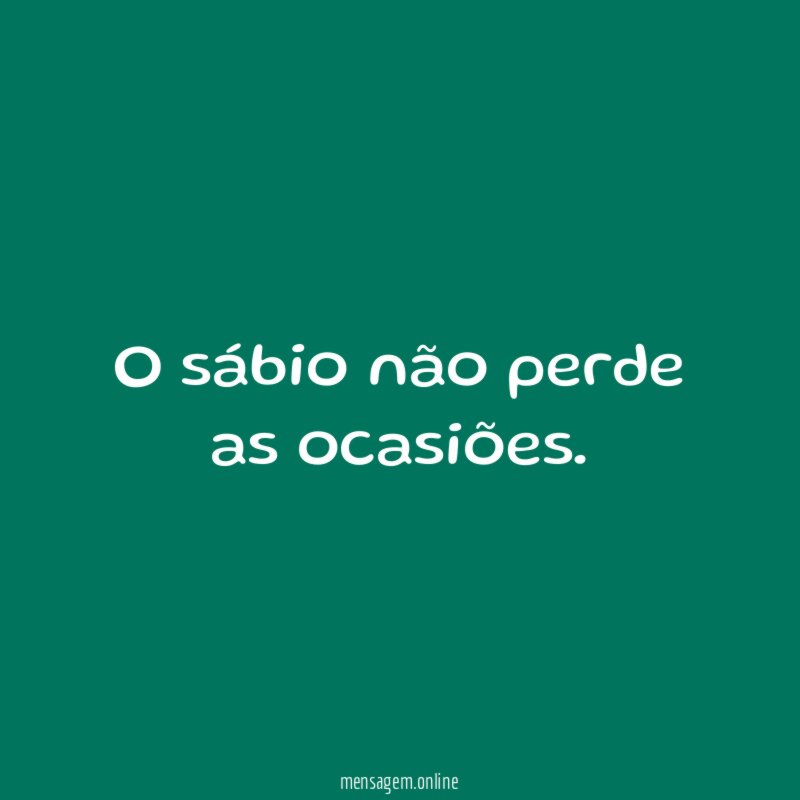 O sábio não perde as ocasiões