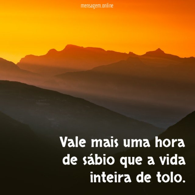 Vale mais uma hora de sábio que a