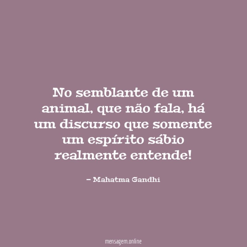 No semblante de um animal