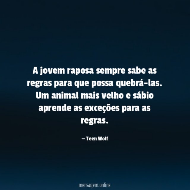 A jovem raposa sempre sabe as regras para que possa quebrá-las