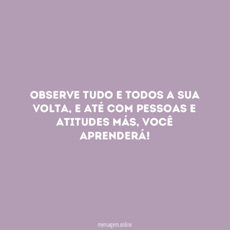 Observe tudo e todos a sua volta