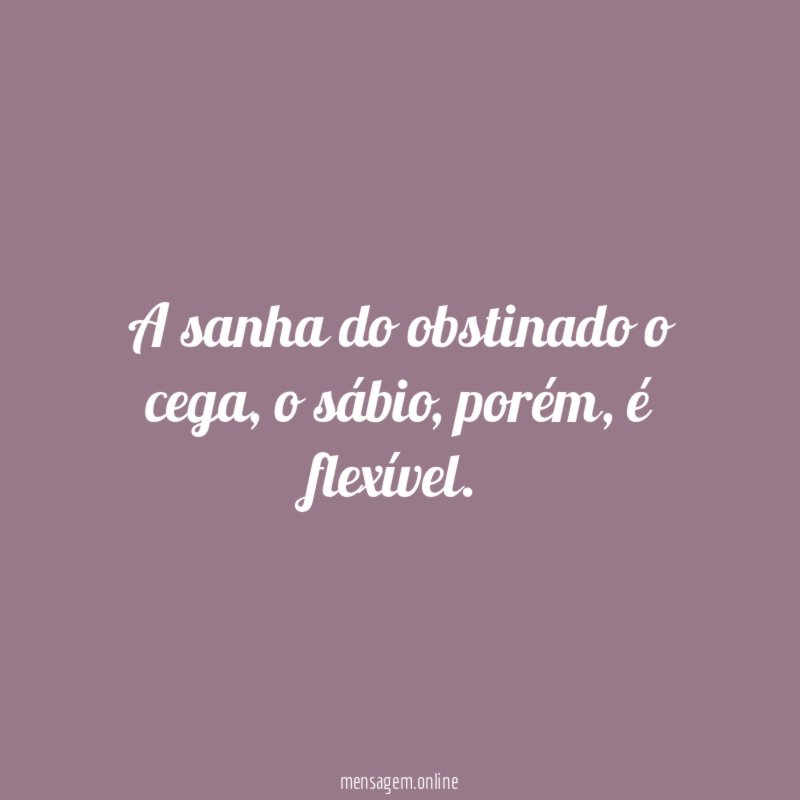 A sanha do obstinado o cega
