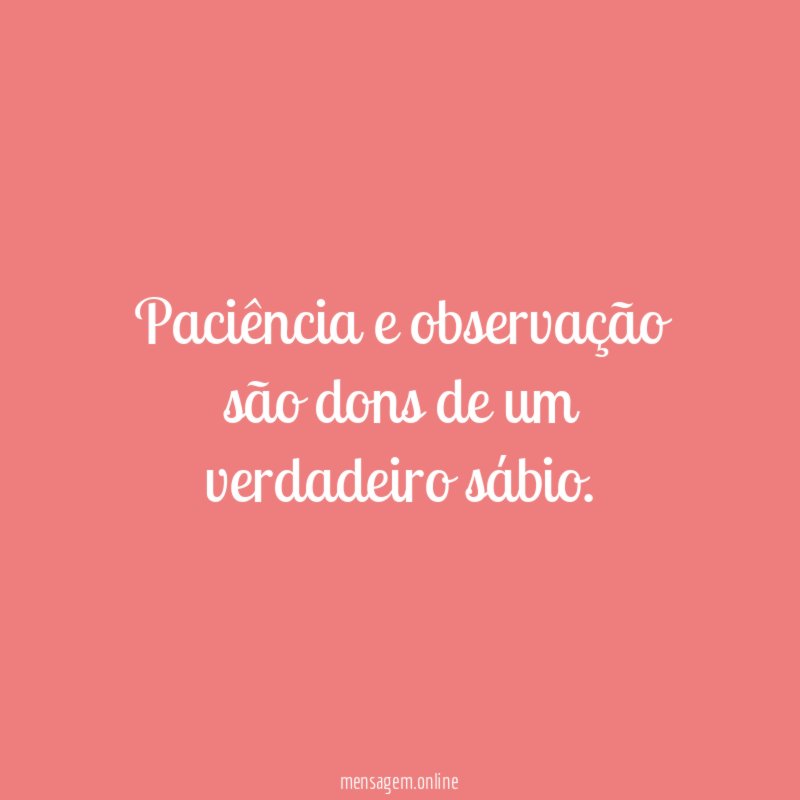 Paciência e observação são dons de um verdadeiro