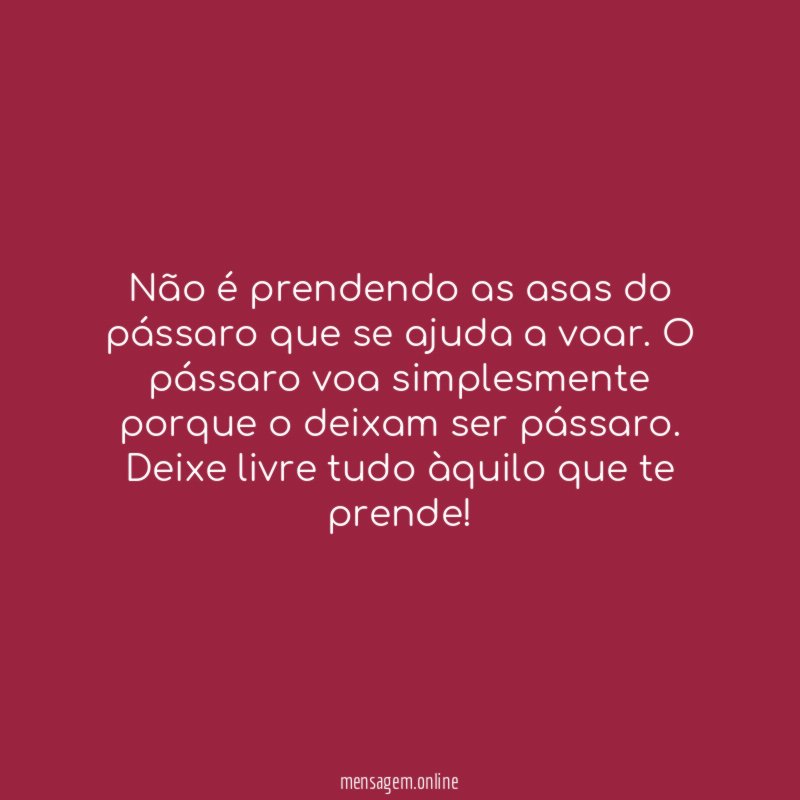 Não é prendendo as asas do pássaro que